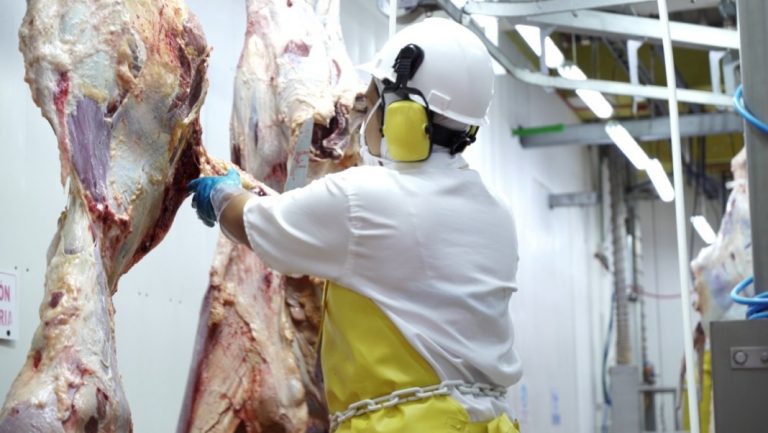 Piden investigar altos precios de la carne