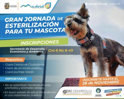 Alcaldía de Madrid abre inscripciones para jornadas de esterilización a mascotas