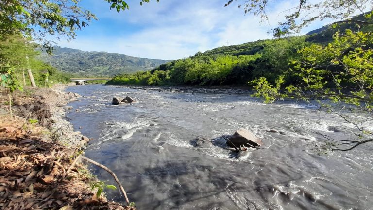 Desde el municipio de Útica, Cundinamarca se está contaminando el río Negro matando peces y otras especies acuáticas