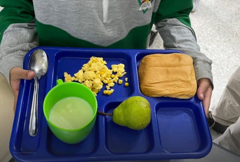 Más de 470 mil niños se verían afectados por incumplimientos del PAE