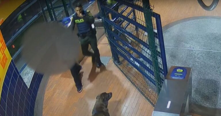 Por hurtar una gorra asesinan a un joven en Bogotá, el presunto implicado fue enviado a la cárcel