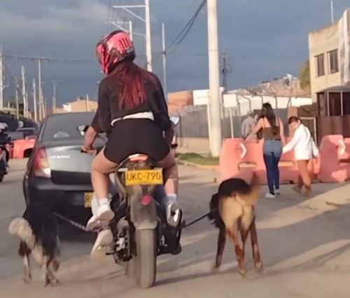 Indignación en Madrid, Cundinamarca: Video muestra a pareja que ató a dos perros a motocicleta