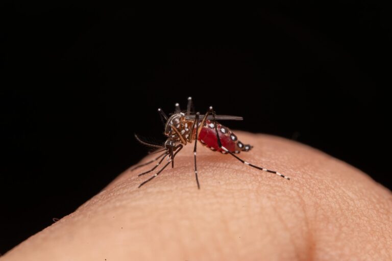 Cundinamarca refuerza prevención del dengue ante incremento de casos por fenómeno de ‘El Niño’