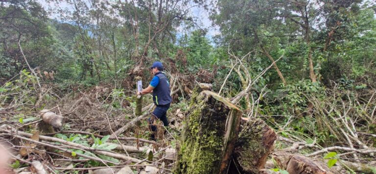 ¡Escándalo ambiental en Albán! Talados 41 árboles para evitar peaje: La CAR actúa