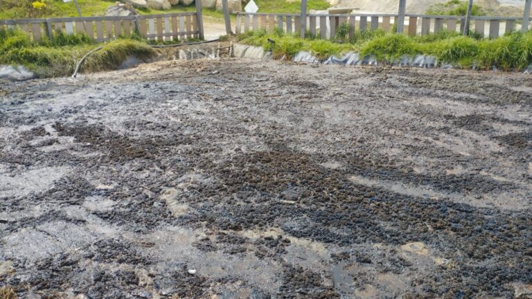 CAR suspende actividades de una compostera en Bojacá, Cundinamarca, por vertimientos directos al suelo