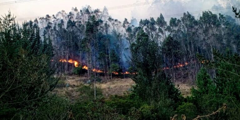Incendio forestal en Bojacá: continúa lucha contra las llamas, se espera apoyo aéreo