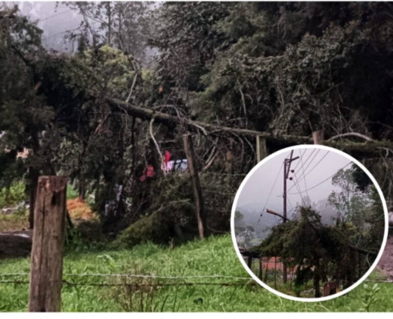 Árbol caído en zona rural de Facatativá pone en riesgo a la comunidad