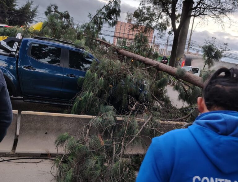Árbol caído bloquea la calle 13 en la vía Mosquera-Bogotá y afecta a varios vehículos y un ciclista