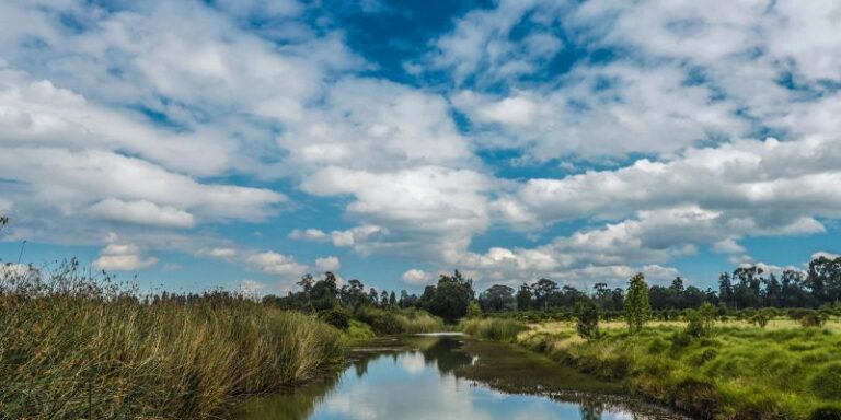 La Sabana de Bogotá merece tener una visión construida en equipo, dice gobernador de Cundinamarca