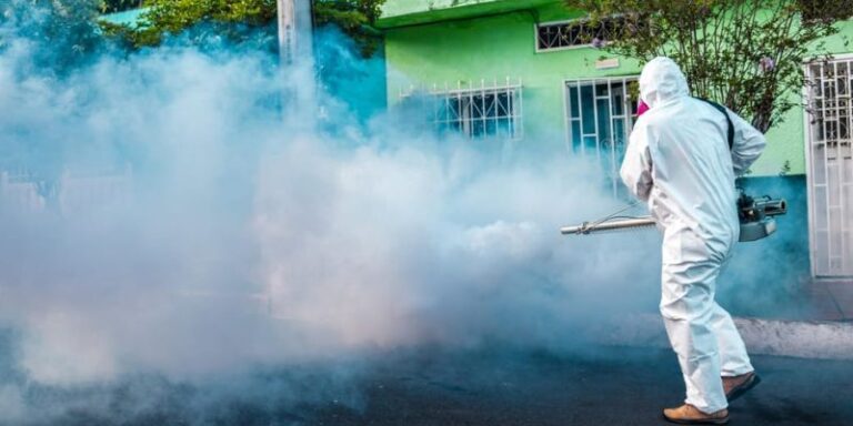 Gobernación refuerza plan de choque contra la fiebre amarilla en Girardot