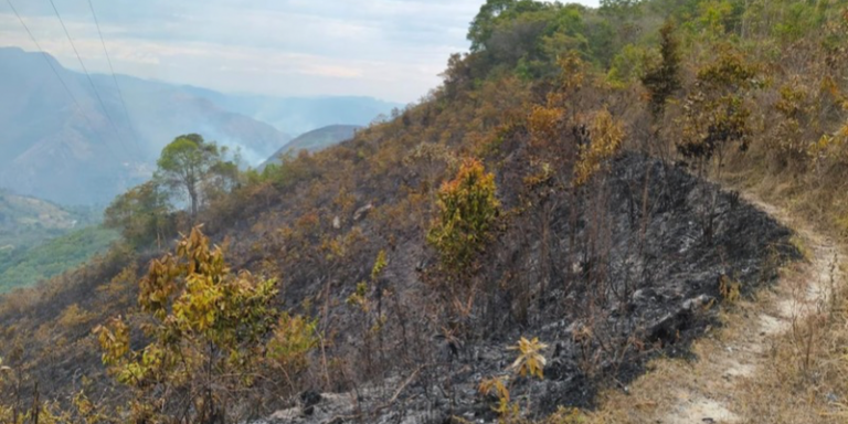 Cundinamarca enfrenta balance crítico de incendios forestales: 15 emergencias en dos días y dos aún activas