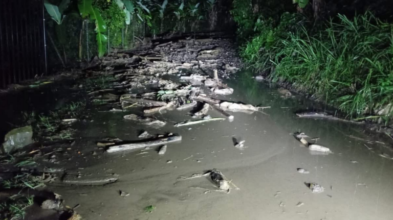 Cundinamarca en alerta por lluvias: 14 municipios reportan emergencias y hay riesgo para cientos de familias