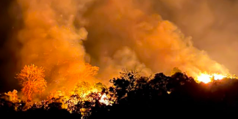 Incendio forestal en La Vega está controlado en un 70 %: una vivienda quedó destruida